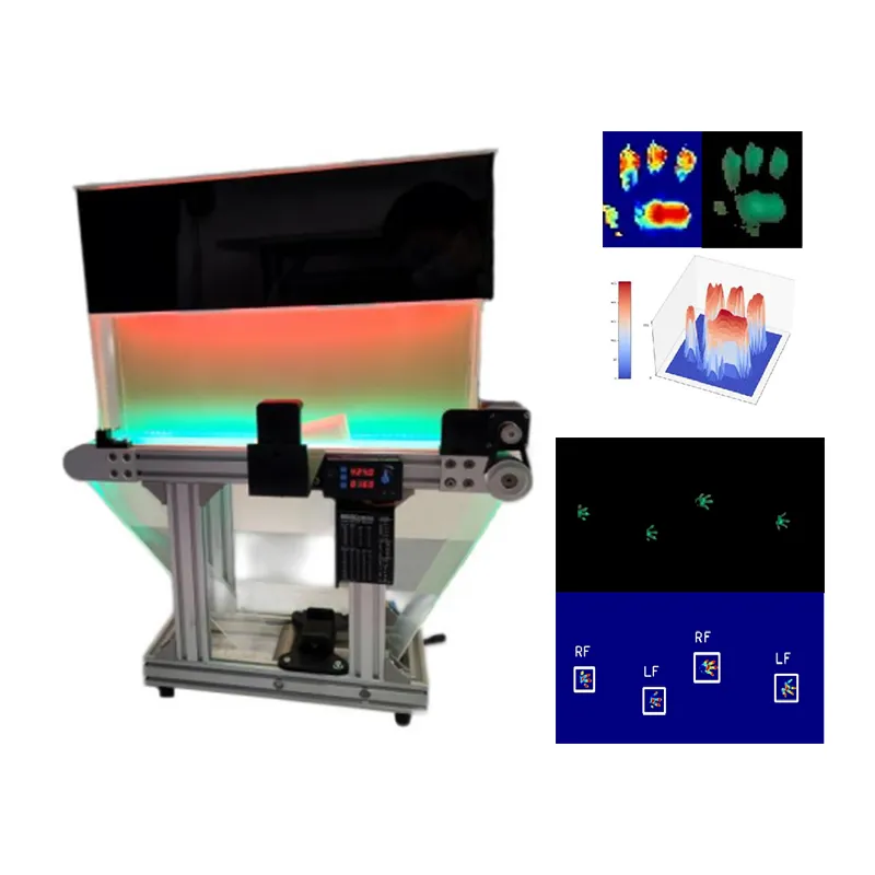 पशु ट्रेडमिल चाल विश्लेषण प्रणाली